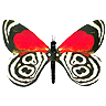 Awatar użytkownika